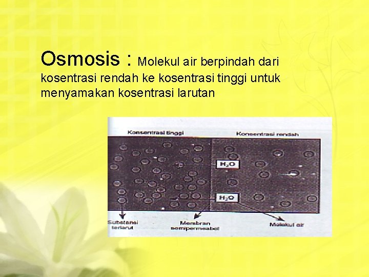 Osmosis : Molekul air berpindah dari kosentrasi rendah ke kosentrasi tinggi untuk menyamakan kosentrasi