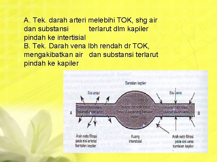 A. Tek. darah arteri melebihi TOK, shg air dan substansi terlarut dlm kapiler pindah