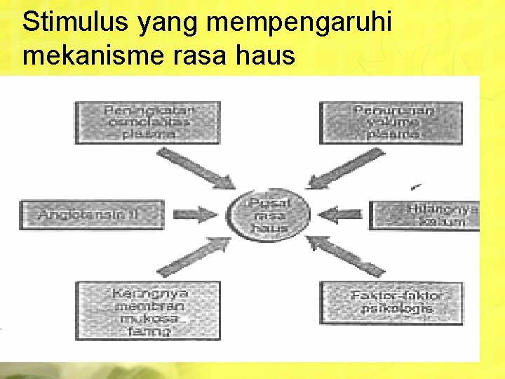 Stimulus yang mempengaruhi mekanisme rasa haus 