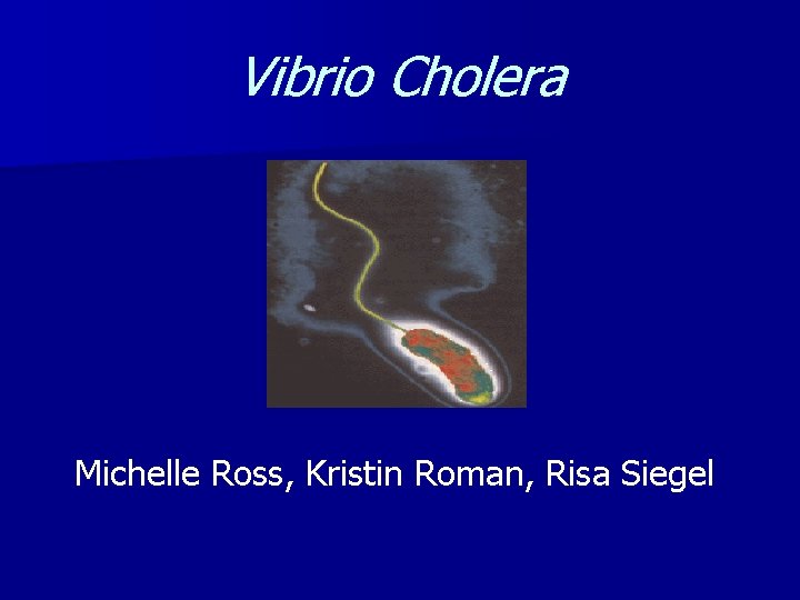 Vibrio Cholera Michelle Ross, Kristin Roman, Risa Siegel 