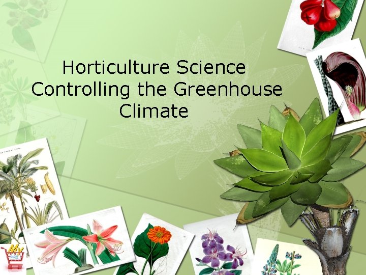 Horticulture Science Controlling the Greenhouse Climate 