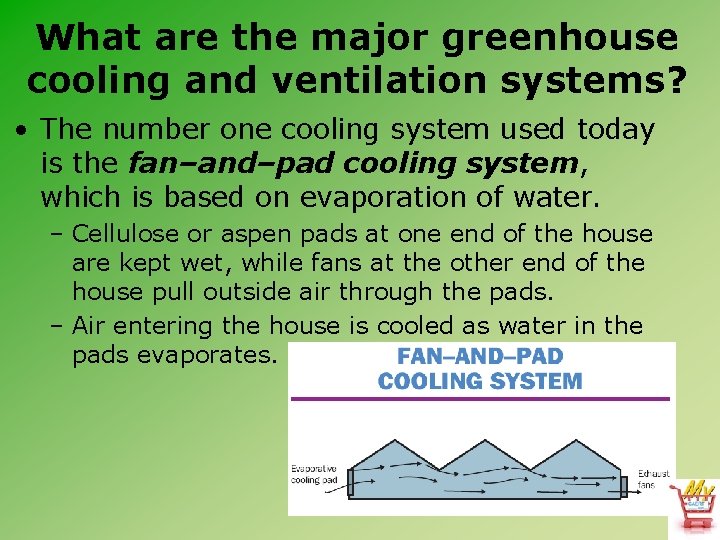 What are the major greenhouse cooling and ventilation systems? • The number one cooling