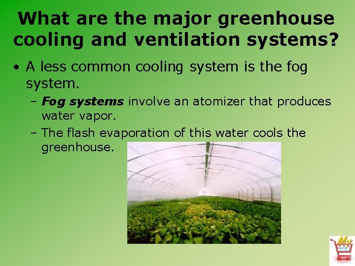 What are the major greenhouse cooling and ventilation systems? • A less common cooling