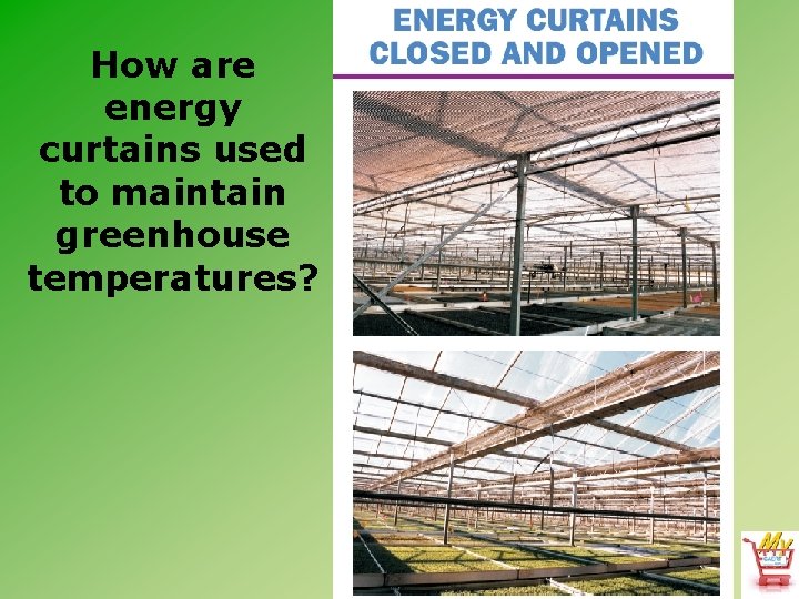 How are energy curtains used to maintain greenhouse temperatures? 