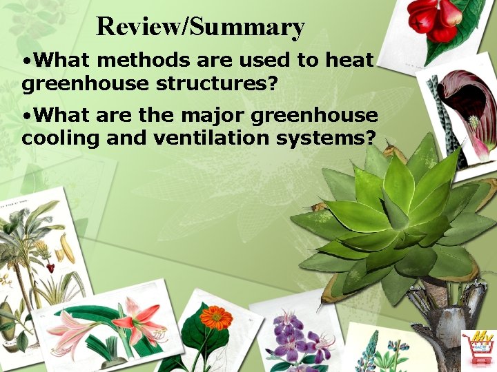 Review/Summary • What methods are used to heat greenhouse structures? • What are the