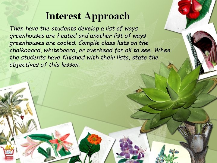 Interest Approach Then have the students develop a list of ways greenhouses are heated