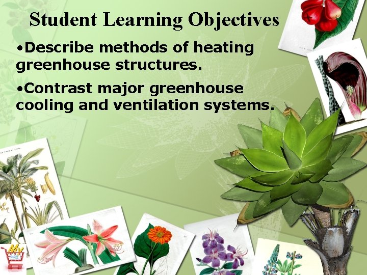 Student Learning Objectives • Describe methods of heating greenhouse structures. • Contrast major greenhouse