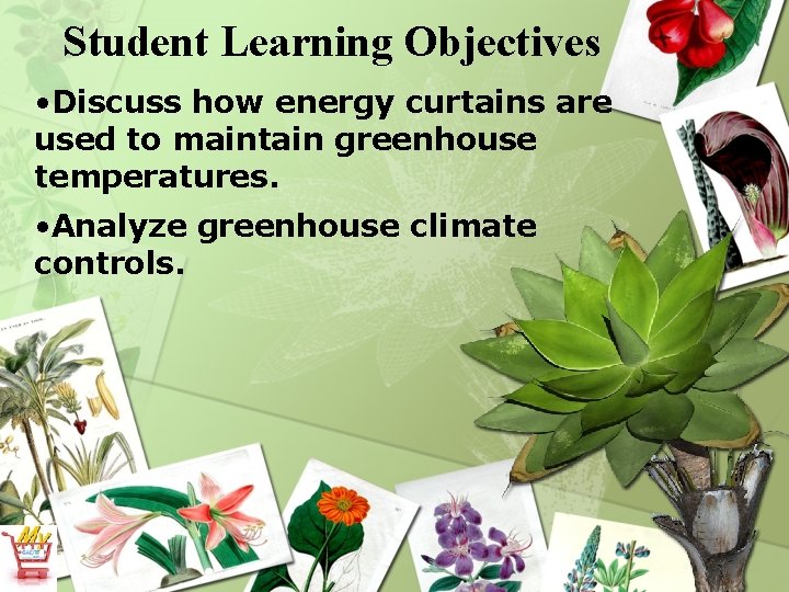 Student Learning Objectives • Discuss how energy curtains are used to maintain greenhouse temperatures.