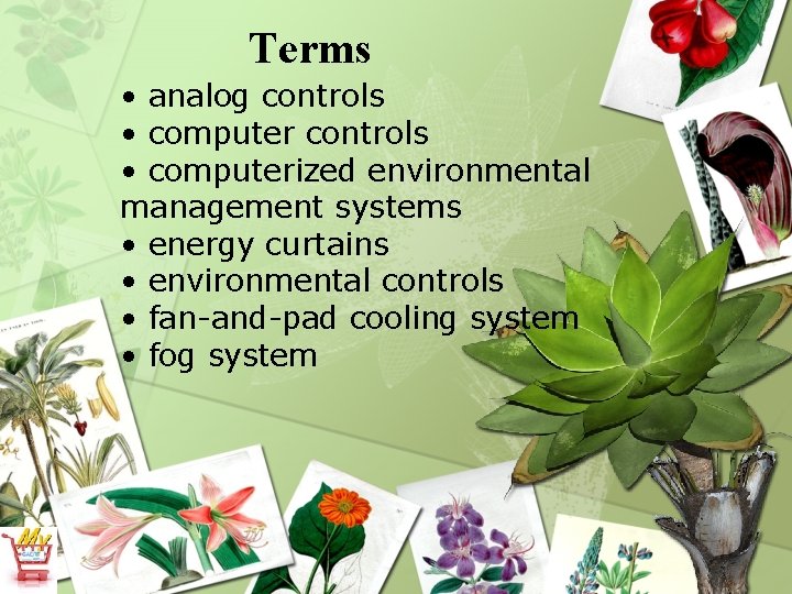 Terms • analog controls • computerized environmental management systems • energy curtains • environmental