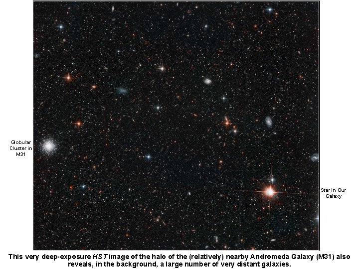 Globular Cluster in M 31 Star in Our Galaxy This very deep-exposure HST image