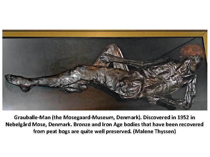 Grauballe-Man (the Mosegaard-Museum, Denmark). Discovered in 1952 in Nebelgård Mose, Denmark. Bronze and Iron