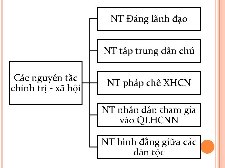 NT Đảng lãnh đạo NT tập trung dân chủ Các nguyên tắc chính trị