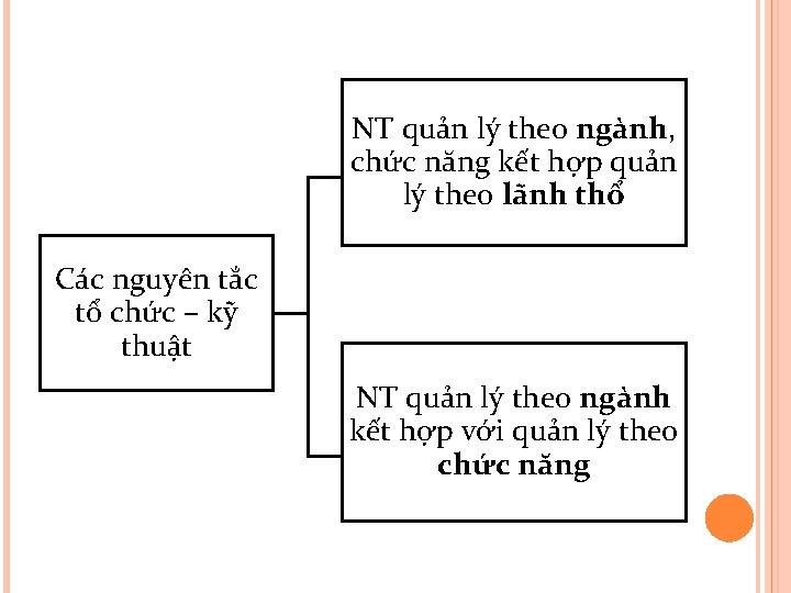 NT quản lý theo ngành, chức năng kết hợp quản lý theo lãnh thổ