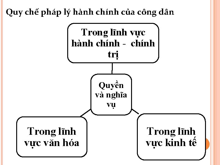 Quy chế pháp lý hành chính của công dân Trong lĩnh vực hành chính