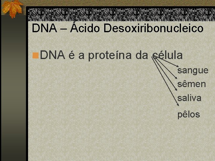 DNA – Ácido Desoxiribonucleico n DNA é a proteína da célula sangue sêmen saliva