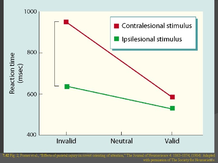 7. 42 Fig. 2, Posner et al. , “Effects of parietal injury on covert