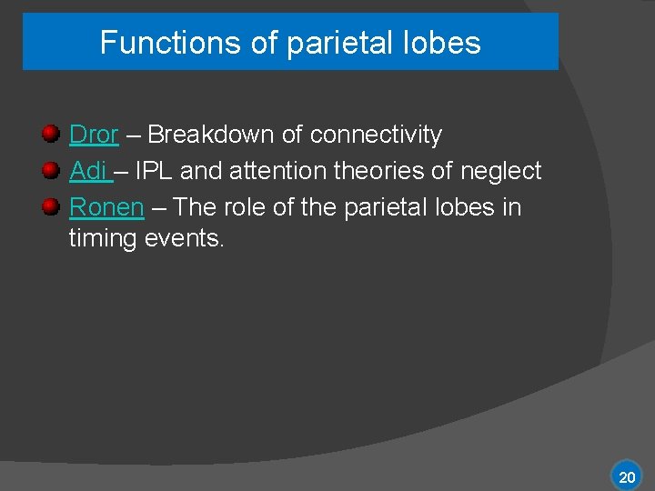 Functions of parietal lobes Dror – Breakdown of connectivity Adi – IPL and attention