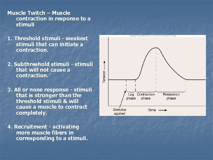 Muscle Twitch – Muscle contraction in response to a stimuli 1. Threshold stimuli -