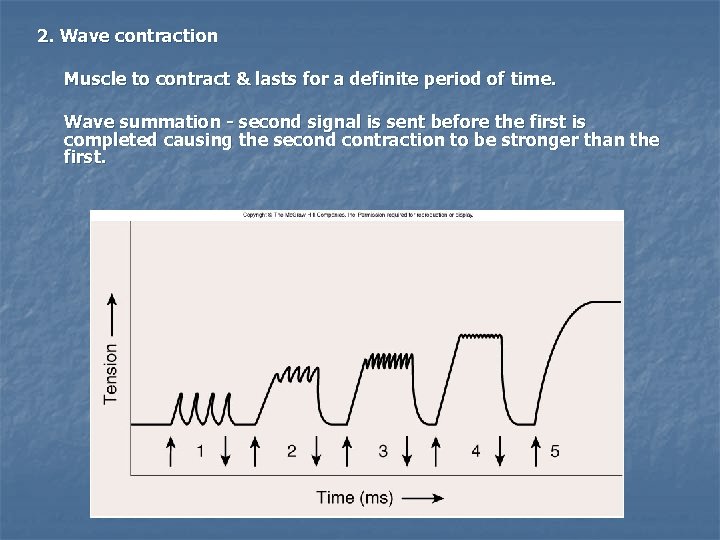 2. Wave contraction Muscle to contract & lasts for a definite period of time.