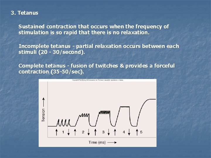 3. Tetanus Sustained contraction that occurs when the frequency of stimulation is so rapid