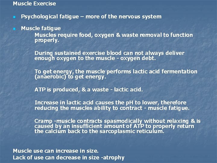 Muscle Exercise n n Psychological fatigue – more of the nervous system Muscle fatigue