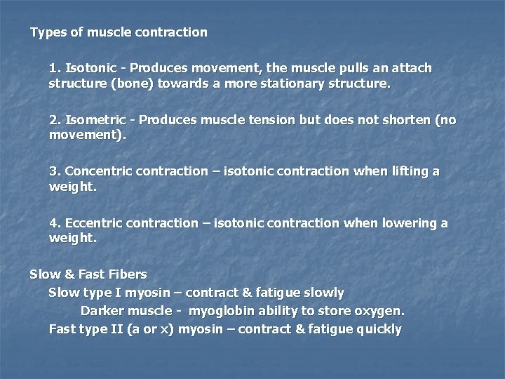 Types of muscle contraction 1. Isotonic - Produces movement, the muscle pulls an attach