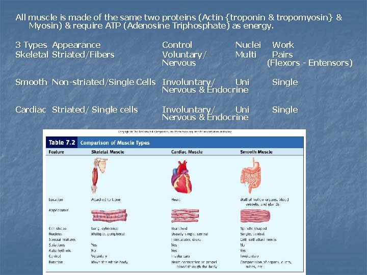 All muscle is made of the same two proteins (Actin {troponin & tropomyosin} &