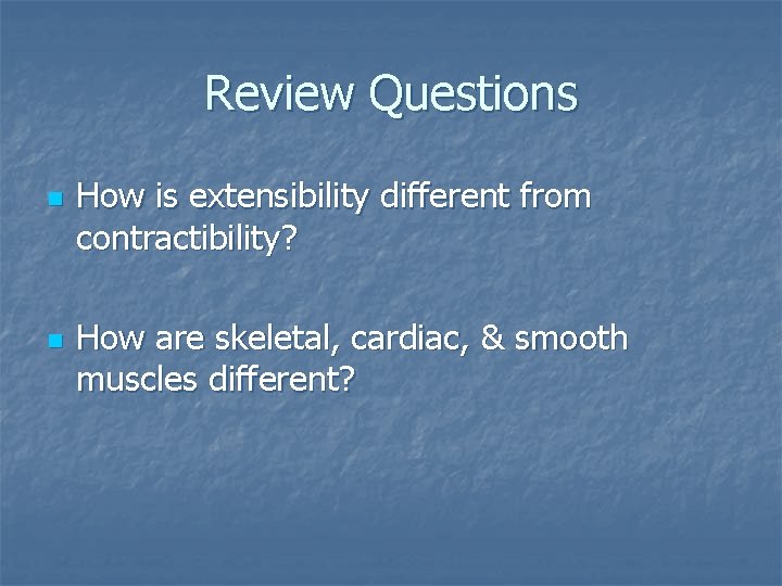 Review Questions n n How is extensibility different from contractibility? How are skeletal, cardiac,