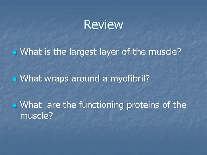 Review n What is the largest layer of the muscle? n What wraps around