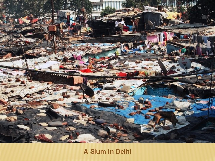 A Slum in Delhi 