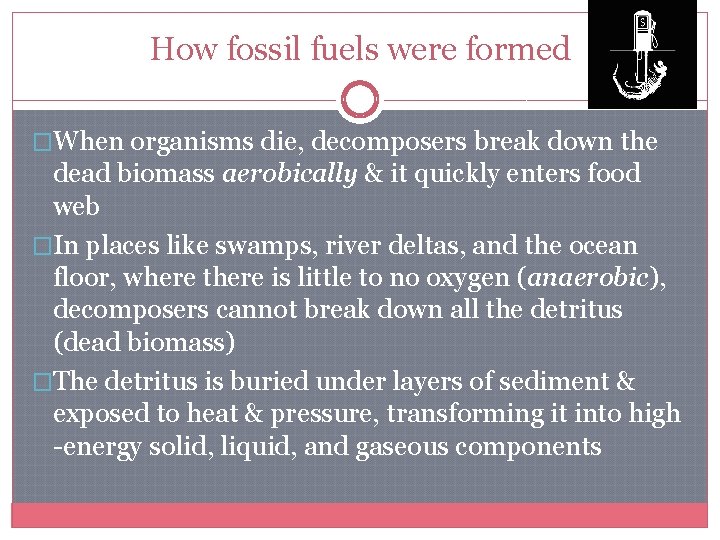 How fossil fuels were formed �When organisms die, decomposers break down the dead biomass