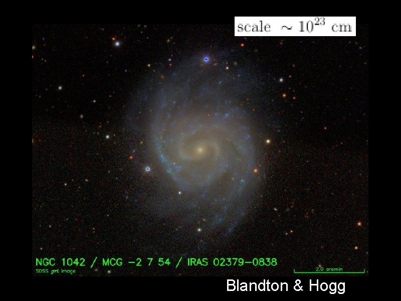 Blandton & Hogg Blandton & Hogg