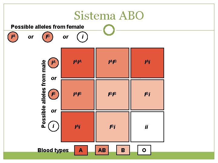 Sistema ABO Possible alleles from female or IB Possible alleles from male IA or