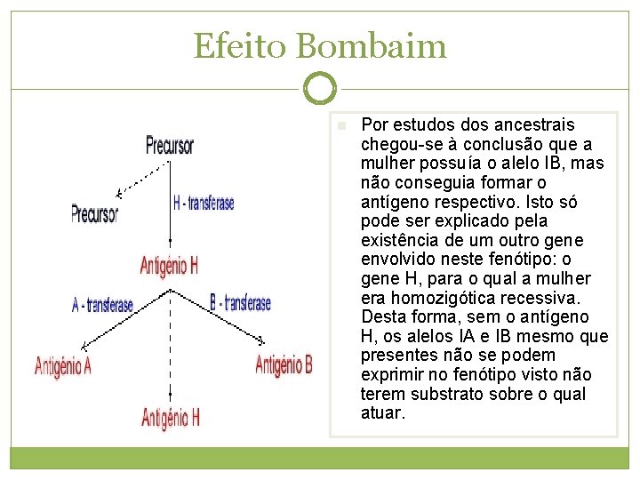 Efeito Bombaim n Por estudos ancestrais chegou-se à conclusão que a mulher possuía o