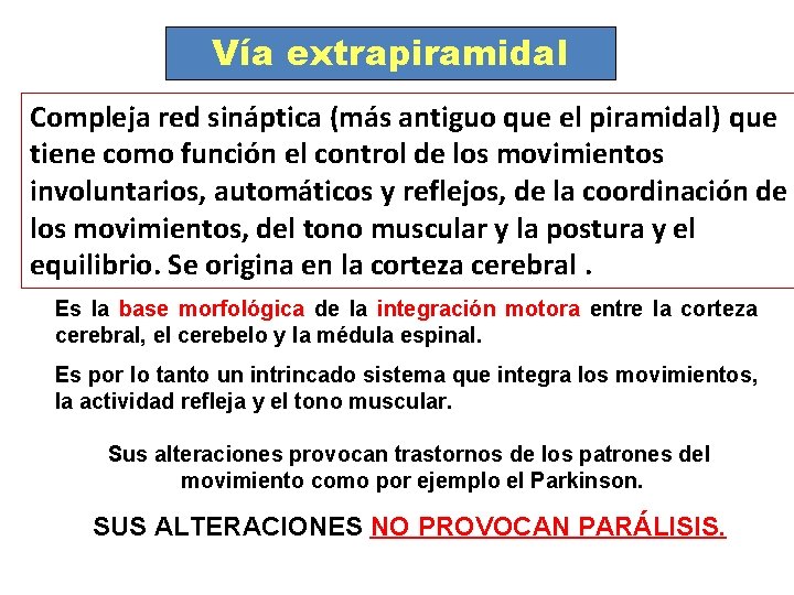 Vía extrapiramidal Compleja red sináptica (más antiguo que el piramidal) que tiene como función Vía extrapiramidal Compleja red sináptica (más antiguo que el piramidal) que tiene como función