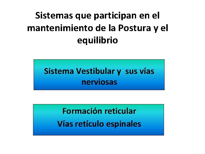 Sistemas que participan en el mantenimiento de la Postura y el equilibrio Sistema Vestibular Sistemas que participan en el mantenimiento de la Postura y el equilibrio Sistema Vestibular