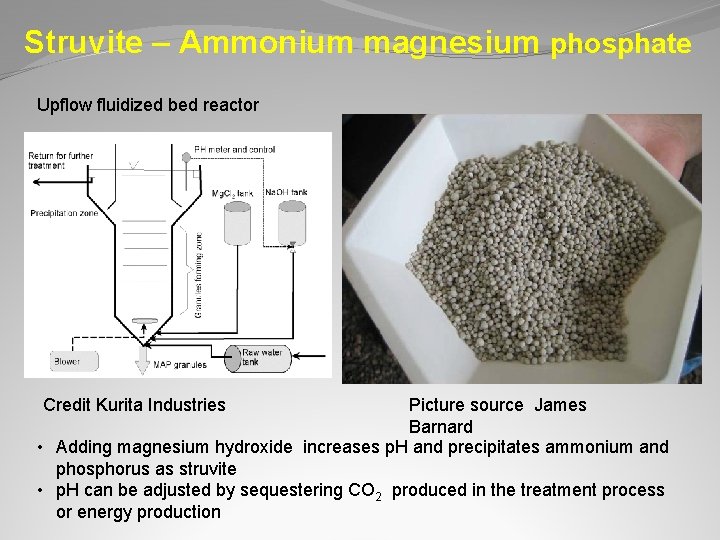 Struvite – Ammonium magnesium phosphate Upflow fluidized bed reactor Credit Kurita Industries Picture source