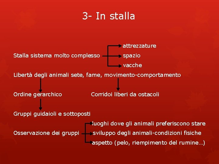 3 - In stalla attrezzature Stalla sistema molto complesso spazio vacche Libertà degli animali 3 - In stalla attrezzature Stalla sistema molto complesso spazio vacche Libertà degli animali
