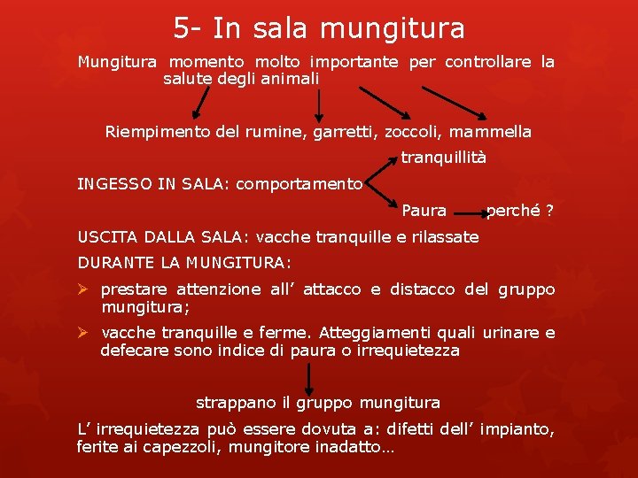 5 - In sala mungitura Mungitura momento molto importante per controllare la salute degli 5 - In sala mungitura Mungitura momento molto importante per controllare la salute degli