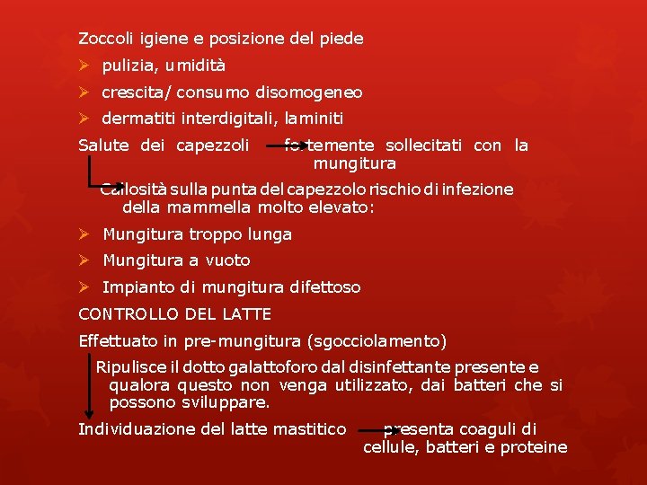 Zoccoli igiene e posizione del piede Ø pulizia, umidità Ø crescita/ consumo disomogeneo Ø Zoccoli igiene e posizione del piede Ø pulizia, umidità Ø crescita/ consumo disomogeneo Ø