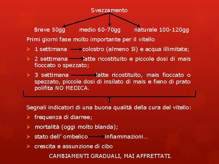 Svezzamento Breve 50 gg medio 60 -70 gg naturale 100 -120 gg Primi giorni Svezzamento Breve 50 gg medio 60 -70 gg naturale 100 -120 gg Primi giorni