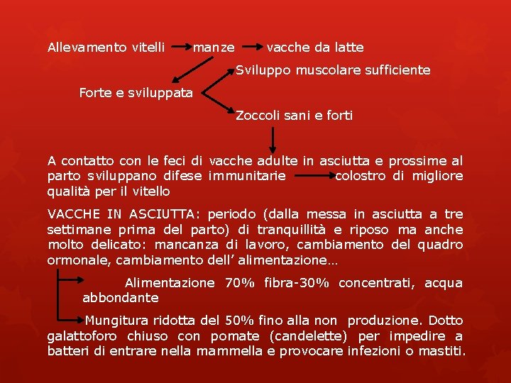 Allevamento vitelli manze vacche da latte Sviluppo muscolare sufficiente Forte e sviluppata Zoccoli sani Allevamento vitelli manze vacche da latte Sviluppo muscolare sufficiente Forte e sviluppata Zoccoli sani