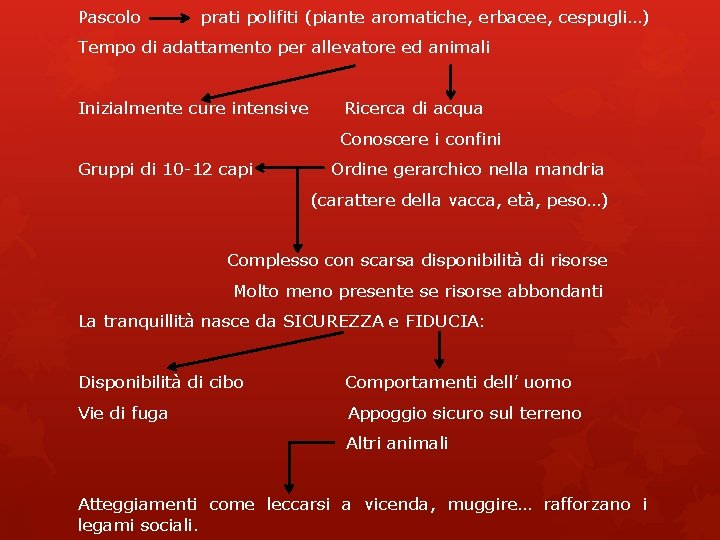 Pascolo prati polifiti (piante aromatiche, erbacee, cespugli…) Tempo di adattamento per allevatore ed animali Pascolo prati polifiti (piante aromatiche, erbacee, cespugli…) Tempo di adattamento per allevatore ed animali