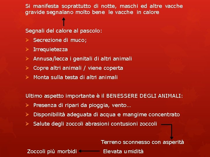 Si manifesta soprattutto di notte, maschi ed altre vacche gravide segnalano molto bene le Si manifesta soprattutto di notte, maschi ed altre vacche gravide segnalano molto bene le