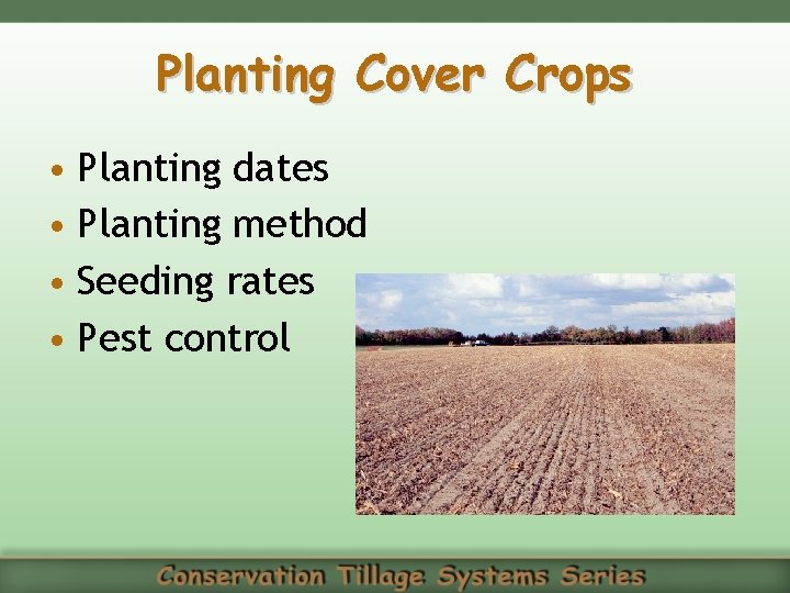 Planting Cover Crops • Planting dates • Planting method • Seeding rates • Pest