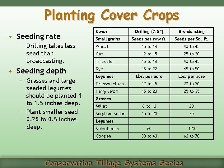 Planting Cover Crops • Seeding rate – Drilling takes less seed than broadcasting. •