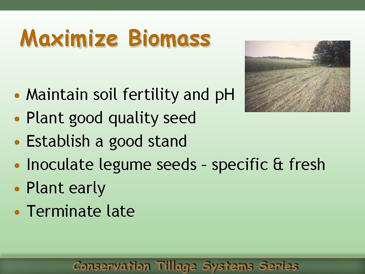 Maximize Biomass • • • Maintain soil fertility and p. H Plant good quality