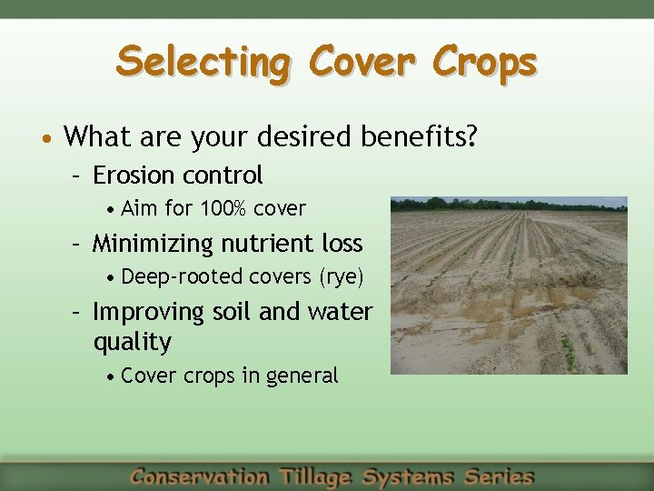 Selecting Cover Crops • What are your desired benefits? – Erosion control • Aim