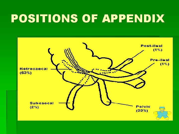 POSITIONS OF APPENDIX 