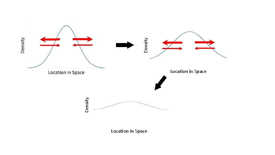 Spatial Dynamics ENTO 5041 DA Andow Spatial structure